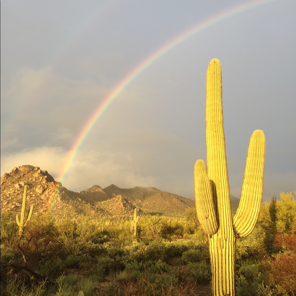 Thank you for stopping by! 😌🙏